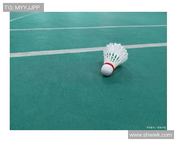 羽毛球赛场新规则解读及影响评估