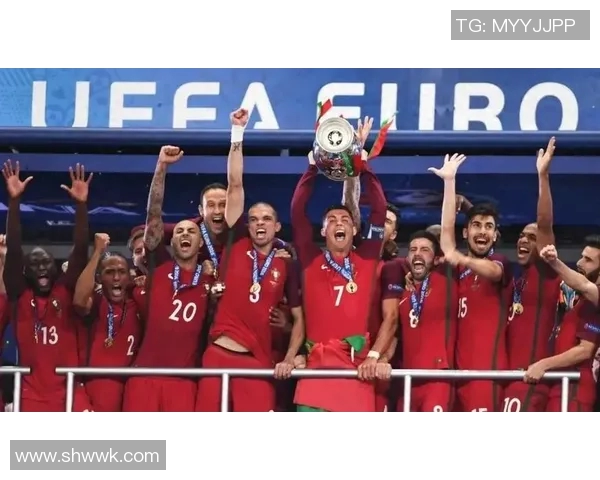 欧洲杯赛事球迷文化传播与互动方式